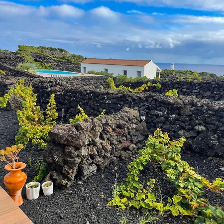 Insula Vinus Appartement *