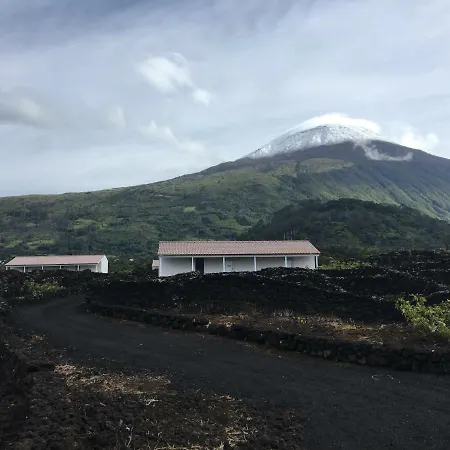 Insula Vinus Apartman *