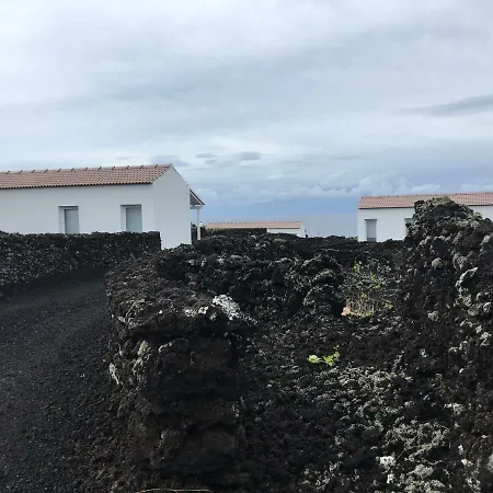 Insula Vinus Madalena (Azores)
