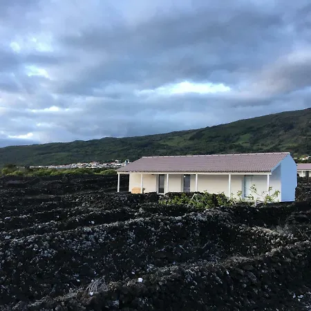 Insula Vinus Apartman