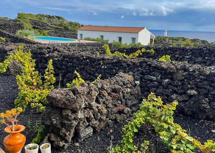 Insula Vinus Appartement *