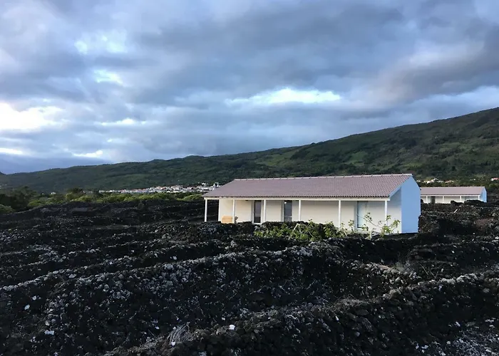 Insula Vinus Apartman