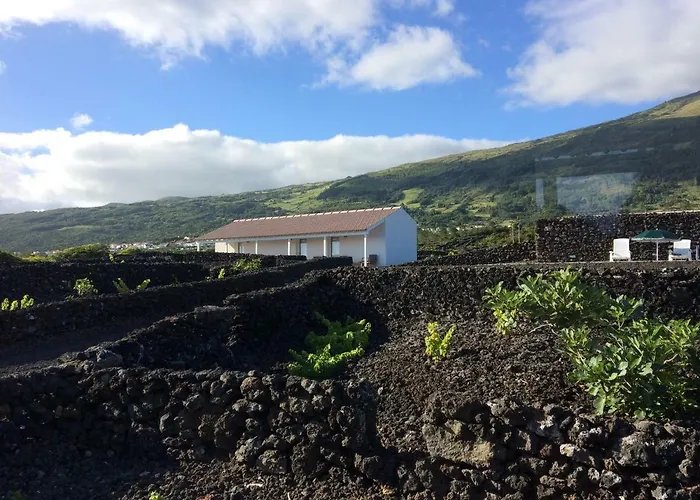 Appartement Insula Vinus