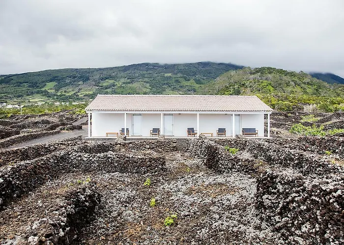 Appartement Insula Vinus *