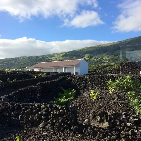 Appartement Insula Vinus