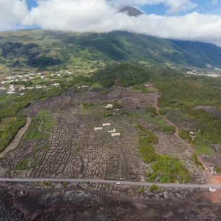 Insula Vinus Appartement
