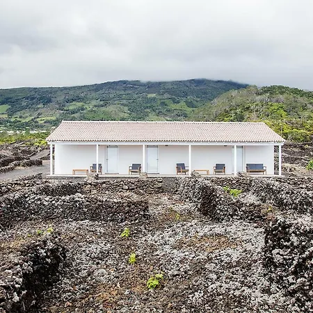 Appartement Insula Vinus *