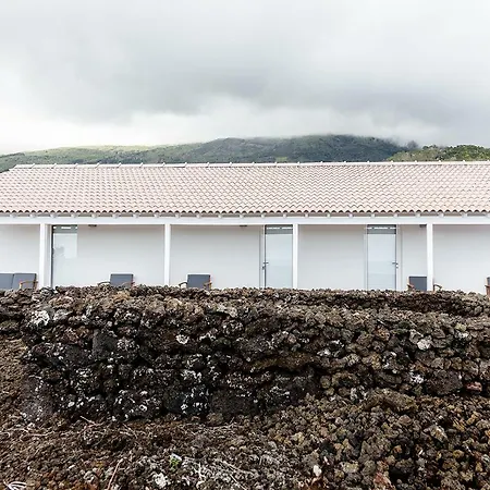 Appartement Insula Vinus *