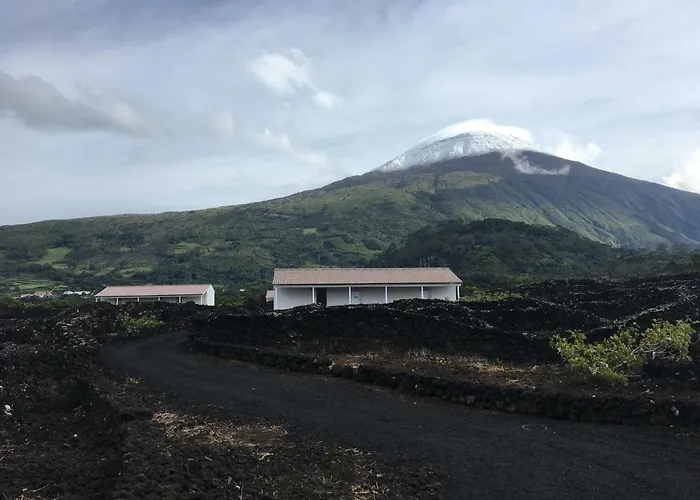 Insula Vinus Apartment *