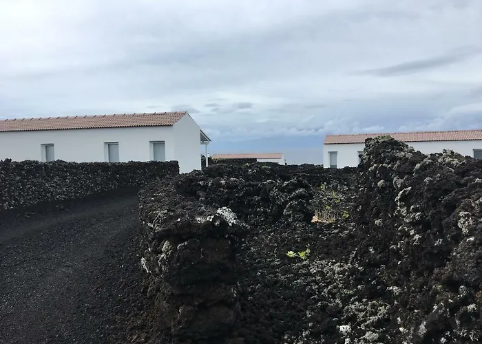 Insula Vinus Madalena (Azores)