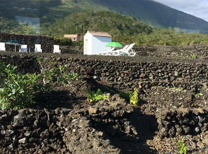 Apartment Insula Vinus *