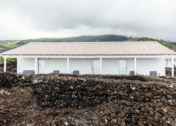 Apartment Insula Vinus *